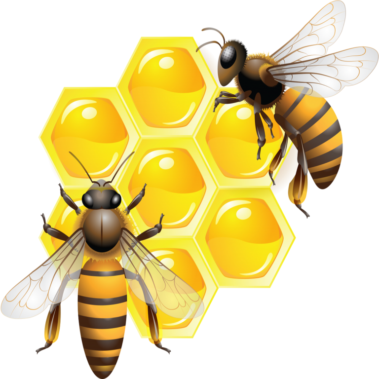Why Pollination Matters: The Essential Role of Pollinators in Nature and Human Life